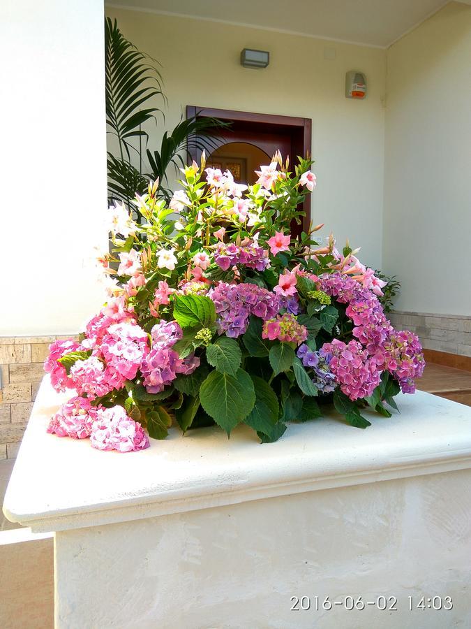Bed and Breakfast Le Camelie Marina di Ginosa Exterior foto